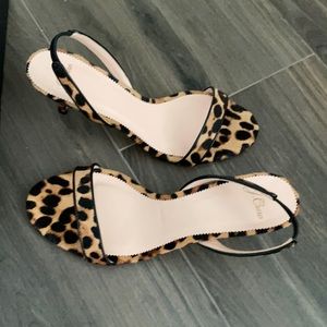 Leopard print j crew kitten heels size 10.5